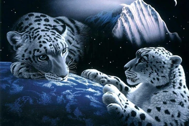 Download Fantasy Cheetah Images Wallpapers 1024x768