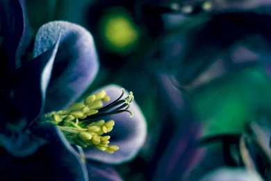 Spring Time Wallpapers