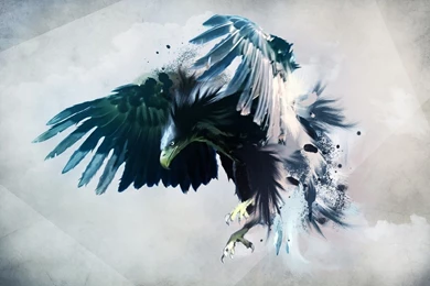 Eagles Wallpapers