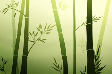 Bamboo HD Wallpapers