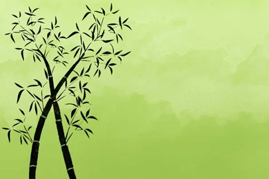 Free Bamboo Stock Background Images » Backgrounds Etc