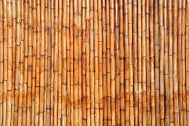 Bamboo Backgrounds