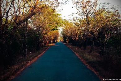 Lomo HD Wallpaper Backgrounds   EnD Dzyn