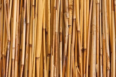 Bamboo Backgrounds Thirteen