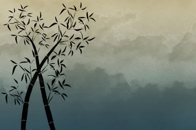 Free Bamboo Stock Background Images » Backgrounds Etc