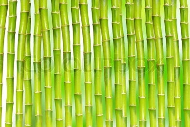 Bamboo Backgrounds
