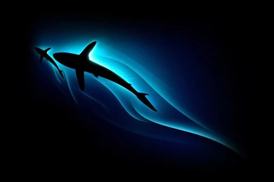 Desktop Wallpapers · Gallery · Windows 7 · Shark PC Backgrounds ...