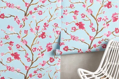 The Beauty Of Cherry Blossom Wallpapers