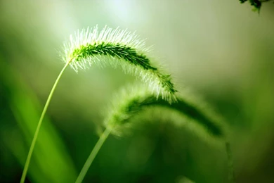 Widescreen Landscape Wallpapers 23210   Wallpapers Landscape ...