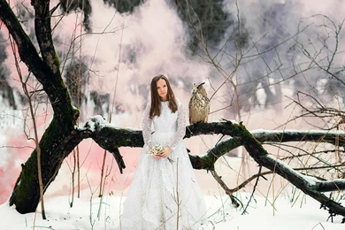 Hd Images, Colors, Windows Wallpapers, Mac Backgrounds, Hd ...