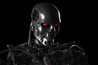TERMINATOR SKELETON WALLPAPER (