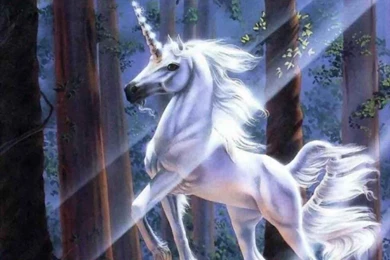 WhisperingWorlds Image Gallery :: Unicorn Backgrounds :: Unicornbg3