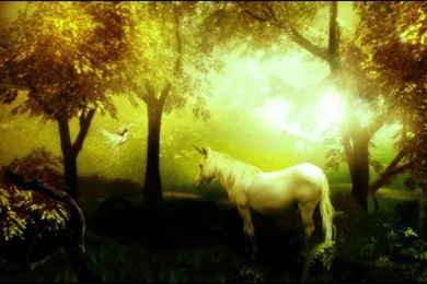 Unicorn Wallpapers   Unicorns Wallpapers (3064716)   Fanpop
