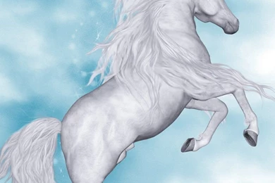 Unicorn Backgrounds By Charmedstar07 On DeviantArt