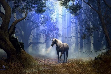 Pic New Posts: Hd Wallpapers Unicorn