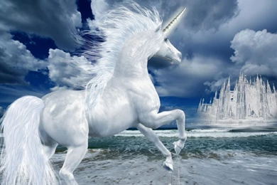 Ultra HD 4K Unicorn Wallpapers HD, Desktop Backgrounds 3840x2400
