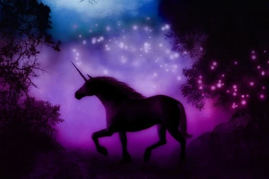 Download This Awesome Wallpapers