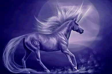 Unicorn Wallpapers HD Best Collection With Unicorn Pictures