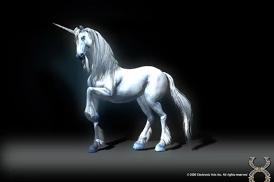 Unicorns On Pinterest