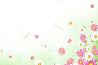 Flowers PPT Backgrounds Templates   Download Free Flowers ...