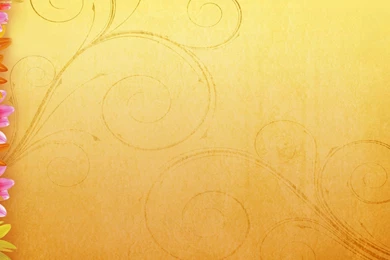 Big Flowers And Swirls Twitter Backgrounds   Twitterevolutions