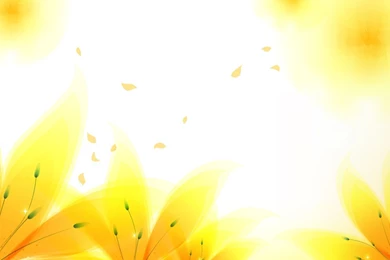 Fresh Yellow Flowers Backgrounds   Flowers, Yellow   PPT Backgrounds
