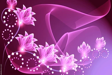 Pink Flowers Wallpapers Pinkflowers Desktop Wallpapers Pink ...