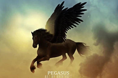 PEGASUS WALLPAPER   (
