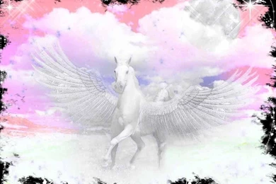 PEGASUS WALLPAPER   (