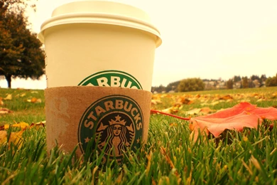 Coffee Grass Starbucks