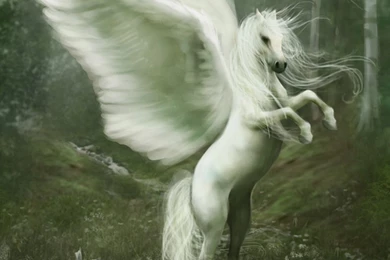 Wallpapers Magical Animals Pegasus Fantasy Image