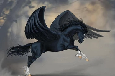 Pegasus On Pinterest