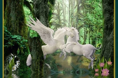 Unicorn And Pegasus Backgrounds