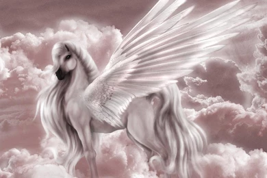 Pegasus & Unicorn   Fantasy Animals Wallpapers (13992178)   Fanpop