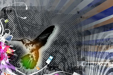 Humming Bird Computer Wallpapers, Desktop Backgrounds