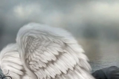 640x1136 Dark Angel Sadness Iphone 5 Wallpapers