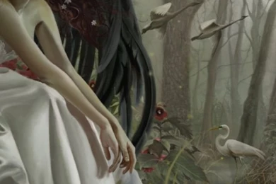 640x960 Dark Angel White Dress Iphone 4 Wallpapers