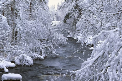 Download Swedish Winter Wallpapers For IPad