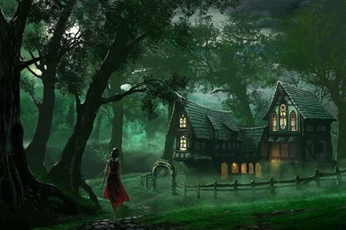 Alone Girl In Jungle House Wallpapers