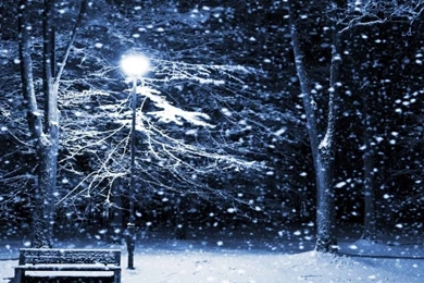 Snow Winter Scene iPad 1 & 2 Wallpapers