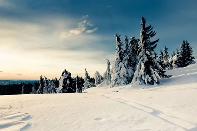 Free Your Mind Nokia Mobile Wallpapers 480x800 Hd Wallpapers ...