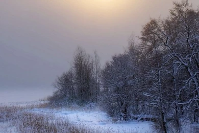 768x1024 Winter Landscape Ipad Wallpapers