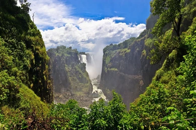 Waterfall Jungle, 2560x1440 HD Wallpapers And FREE Stock Photo