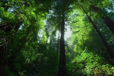 Storm Clouds HD Wallpapers