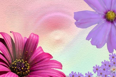 Free Desktop Wallpapers Springtime Game Spring Wallpapers Desktop ...