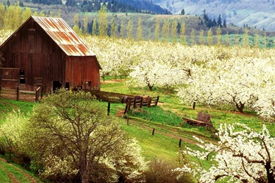 Free Desktop Backgrounds For Spring Farm Photos Of Free Desktop ...