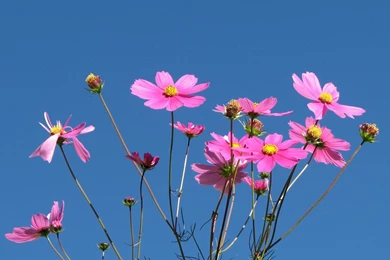 Beautiful Beach Hd Wallpapers (102)