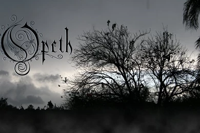 Opeth Wallpapers 1 By BenightedGod On DeviantArt