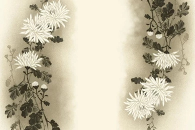 Cream Asian Floral Backgrounds Wallpapers Your Top HD Wallpapers ...