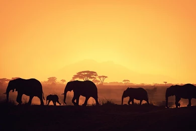 Africa Wallpapers, Desktop Wallpapers » GoodWP.com